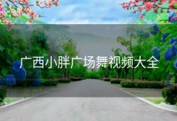 广西小胖广场舞视频大全