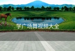 学广场舞视频大全