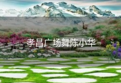 孝昌广场舞陈小华