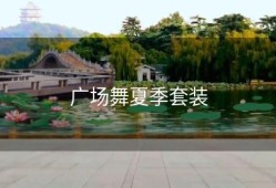 广场舞夏季套装