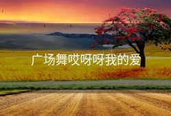 广场舞哎呀呀我的爱