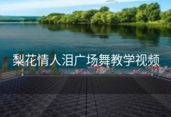 梨花情人泪广场舞教学视频