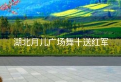 湖北月儿广场舞十送红军