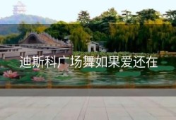 迪斯科广场舞如果爱还在