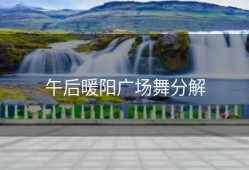 午后暖阳广场舞分解