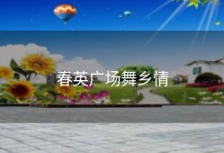 春英广场舞乡情