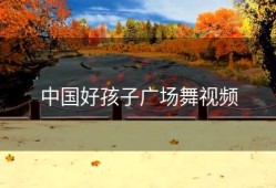 中国好孩子广场舞视频