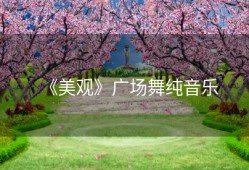 《美观》广场舞纯音乐