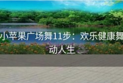 小苹果广场舞11步：欢乐健康舞动人生