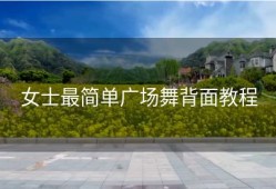 女士最简单广场舞背面教程