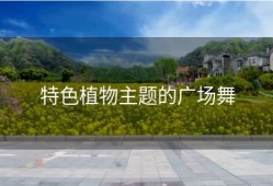 特色植物主题的广场舞
