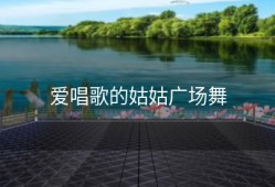爱唱歌的姑姑广场舞