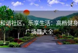 和谐社区，乐享生活：高档健身广场舞大全