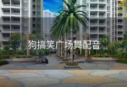 狗搞笑广场舞配音