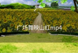 广场舞映山红mp4