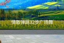 情散弹跳32步广场舞