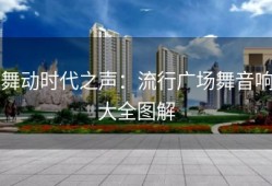 舞动时代之声：流行广场舞音响大全图解