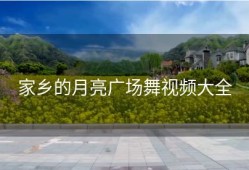 家乡的月亮广场舞视频大全