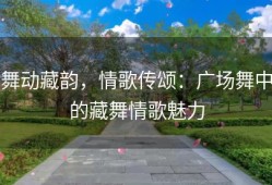 舞动藏韵，情歌传颂：广场舞中的藏舞情歌魅力