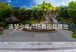 逐梦少年广场舞视频播放