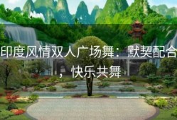 印度风情双人广场舞：默契配合，快乐共舞