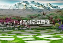 广场舞健身舞串烧