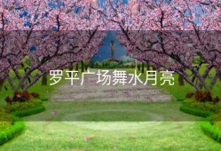 罗平广场舞水月亮