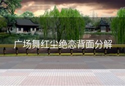 广场舞红尘绝恋背面分解