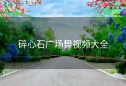 碎心石广场舞视频大全