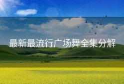 最新最流行广场舞全集分解