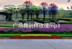 广场舞别样玫瑰mp3