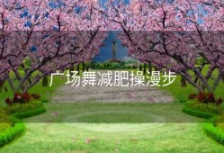 广场舞减肥操漫步