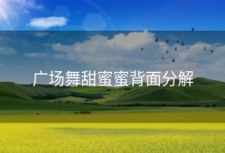 广场舞甜蜜蜜背面分解