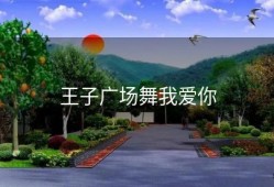 王子广场舞我爱你