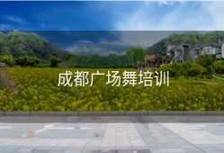 成都广场舞培训