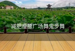 减肥瘦腰广场舞鬼步舞