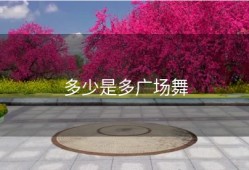 多少是多广场舞
