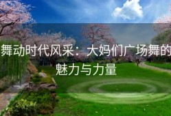 舞动时代风采：大妈们广场舞的魅力与力量