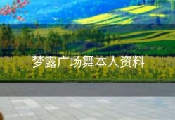 梦露广场舞本人资料