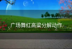 广场舞红高粱分解动作