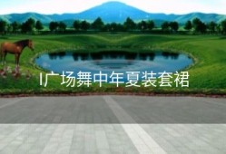I广场舞中年夏装套裙