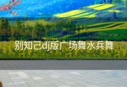 别知己dj版广场舞水兵舞