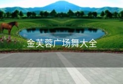 金芙蓉广场舞大全