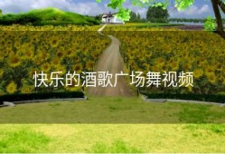 快乐的酒歌广场舞视频