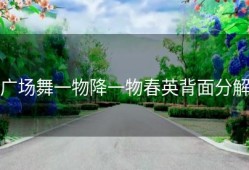 广场舞一物降一物春英背面分解