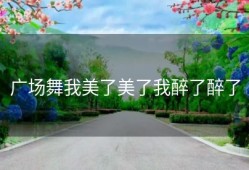 广场舞我美了美了我醉了醉了