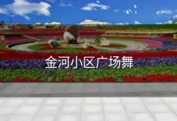 金河小区广场舞