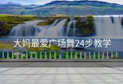 大妈最爱广场舞24步教学