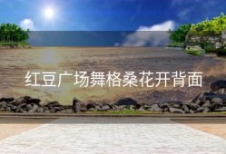 红豆广场舞格桑花开背面