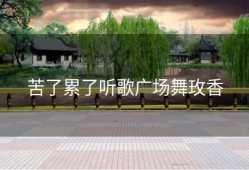 苦了累了听歌广场舞玫香